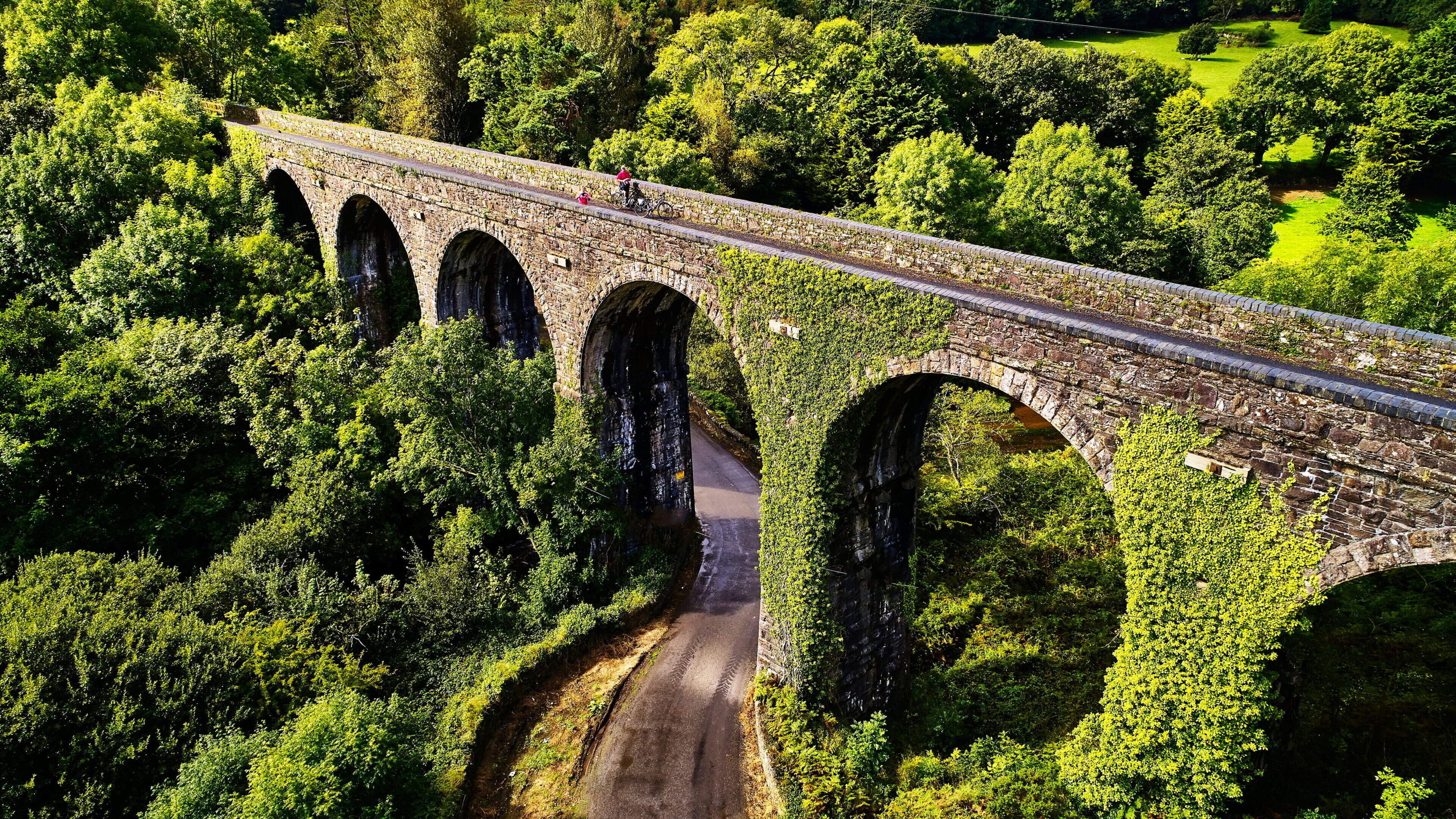 Édaein O’Connell: Greenways are great, but it would be even better to have our railways back